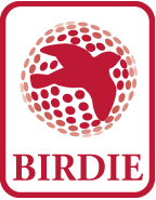 Birdie Golf