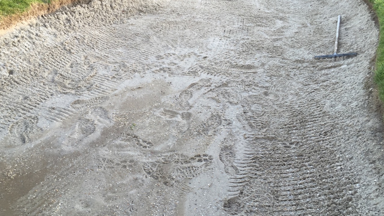 16th_bunker_12_apr_16.jpg