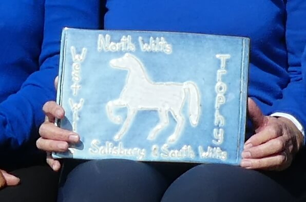 West Wilts Ladies - Three Way Match against North Wilts and Salisbury & South Wilts